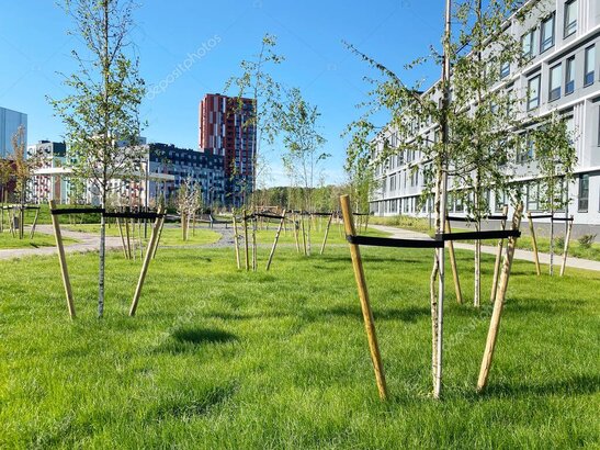 Zona ajardinada con árboles bien mantenidos frente a una comunidad de vecinos