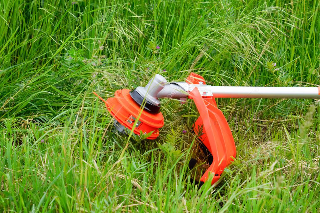 Trabajos de desbroce y limpieza de una parcela