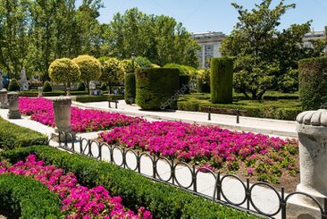 Poda de formación en un jardín de una vivienda en la Comunidad de Madrid