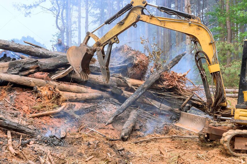 Trabajo de desbroce forestal para prevención de incendios en Madrid